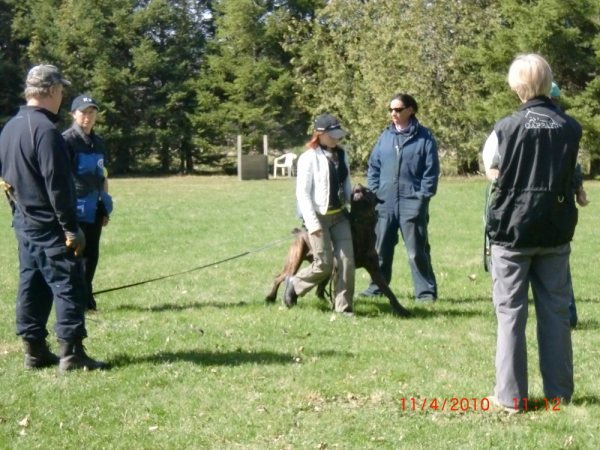 Home [saugeenschutzhund.homestead.com]